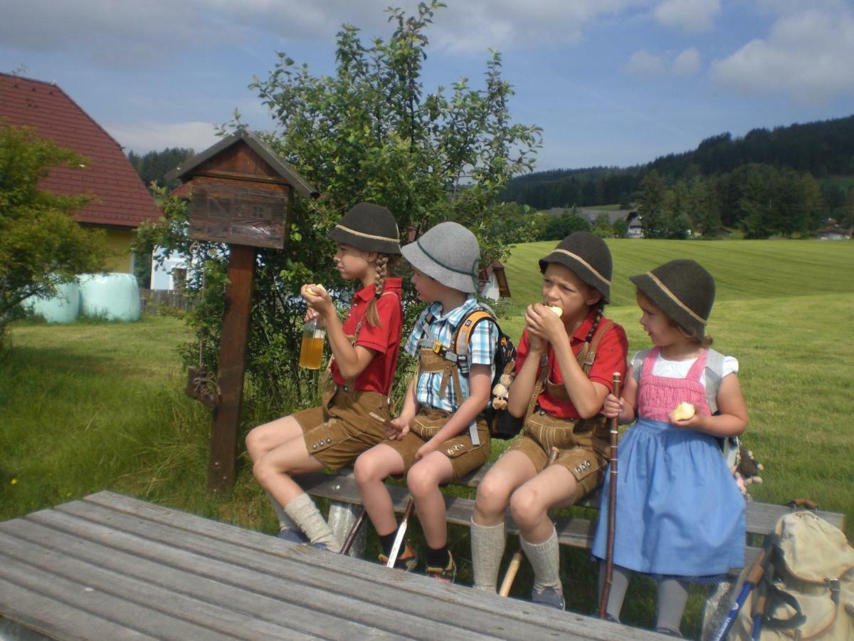 Villa Urlaub Am Bauernhof Grabenhofer à Sankt Jakob im Walde Extérieur photo