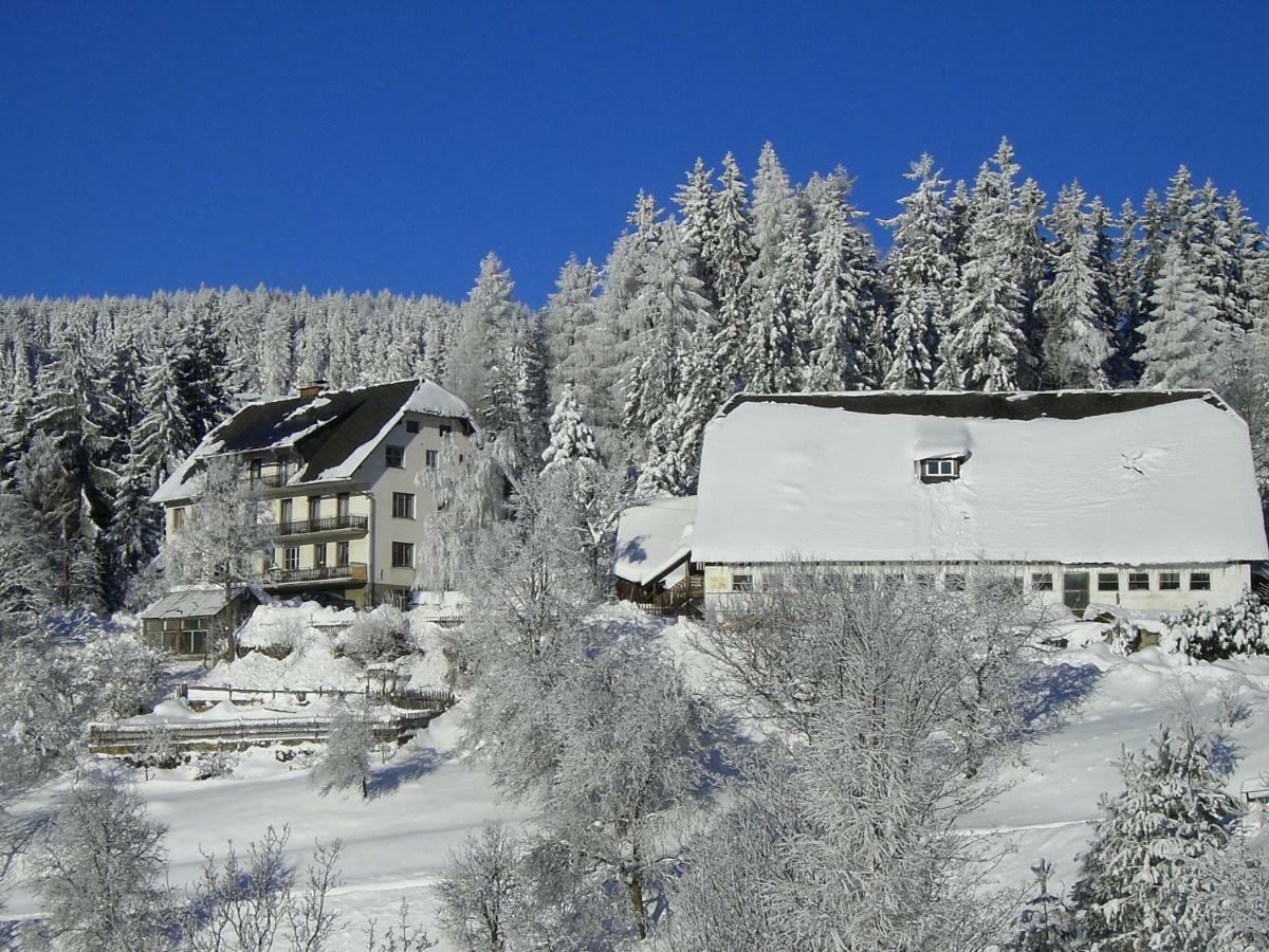 Villa Urlaub Am Bauernhof Grabenhofer à Sankt Jakob im Walde Extérieur photo