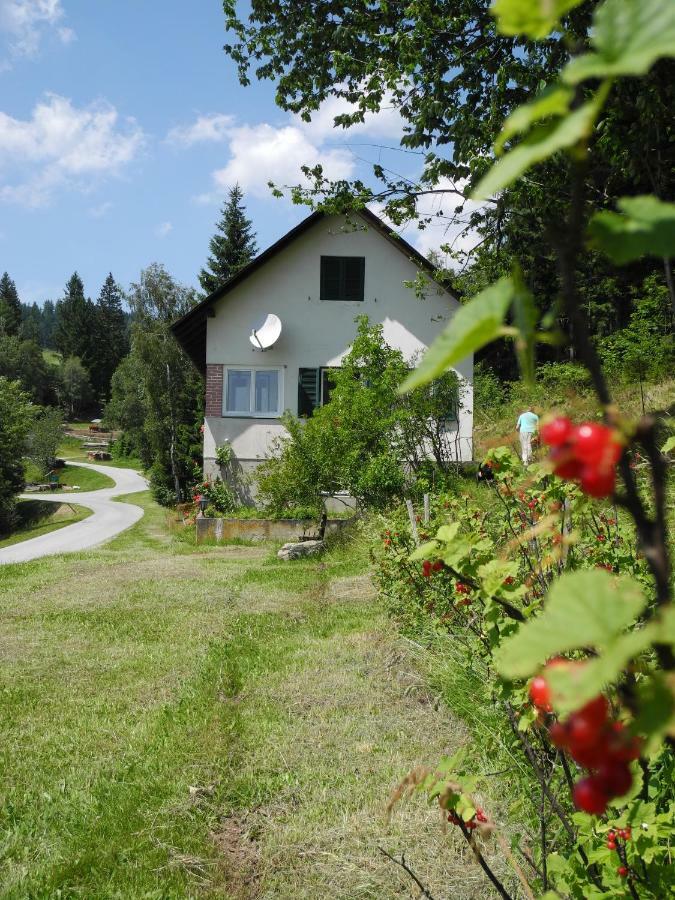 Villa Urlaub Am Bauernhof Grabenhofer à Sankt Jakob im Walde Extérieur photo