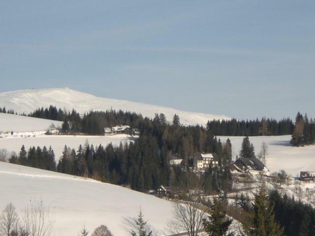 Villa Urlaub Am Bauernhof Grabenhofer à Sankt Jakob im Walde Extérieur photo